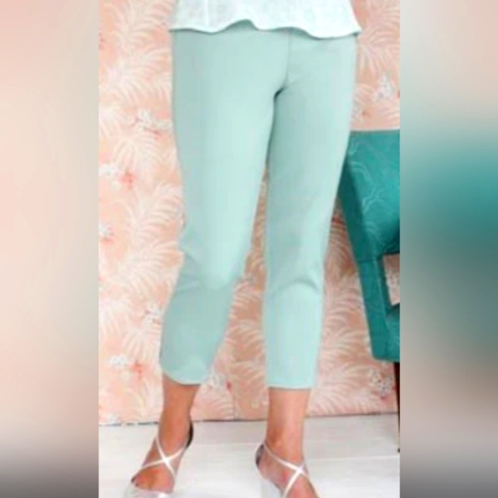 Chaus NY Light Blue/Green Classic Ankle Pants  Size 16 EUC